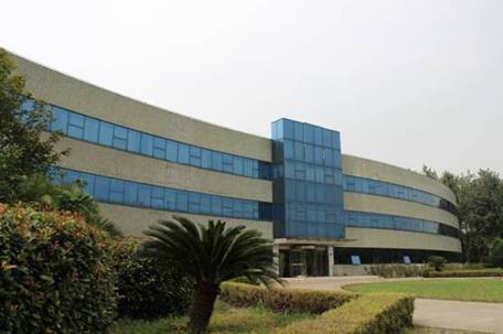 上海杉一植物科技 以绿色科技重塑都市生态，这家上海科技公司做对了什么？